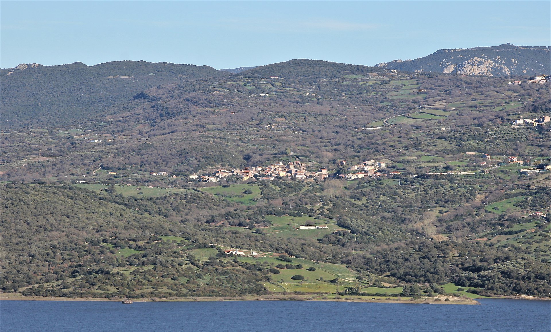Bidonì